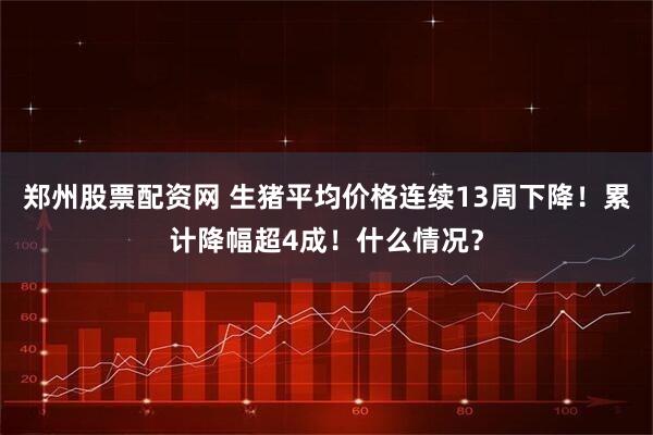 郑州股票配资网 生猪平均价格连续13周下降！累计降幅超4成！什么情况？