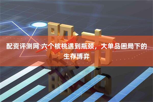 配资评测网 六个核桃遇到瓶颈，大单品困局下的生存博弈