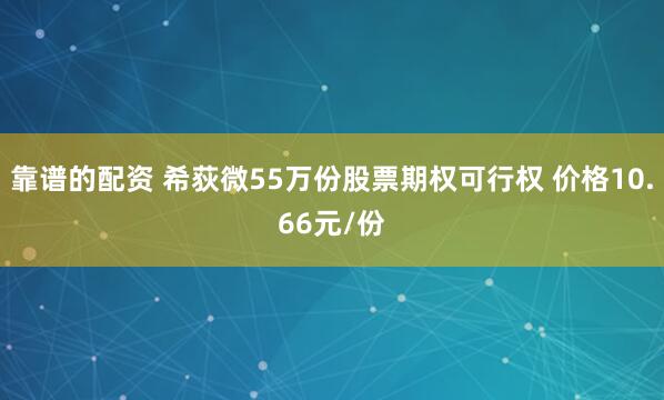 靠谱的配资 希荻微55万份股票期权可行权 价格10.66元/份