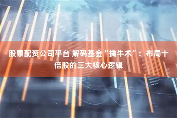 股票配资公司平台 解码基金“擒牛术”：布局十倍股的三大核心逻辑