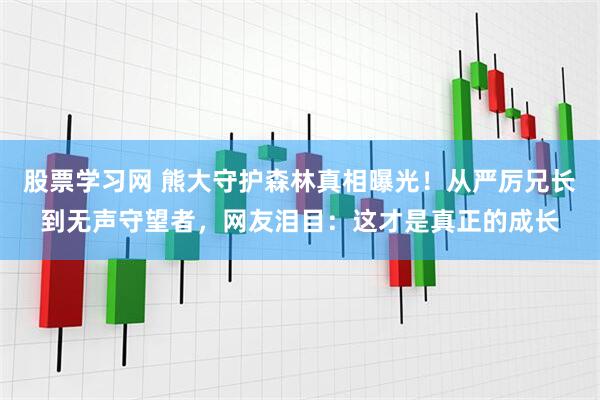 股票学习网 熊大守护森林真相曝光！从严厉兄长到无声守望者，网友泪目：这才是真正的成长